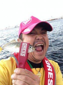 【12日】南港でアジング　本日はいまいちでした;