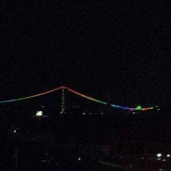 明石港で短時間アジング　アイゴにアジ