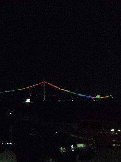 明石港で短時間アジング　アイゴにアジ