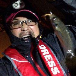 大阪南港でアジング、10匹オーバーの釣果