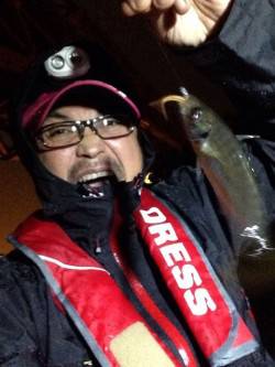 大阪南港でアジング、10匹オーバーの釣果