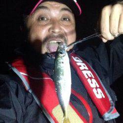 今回の釣行アジングはめちゃめちゃ釣りやすかった