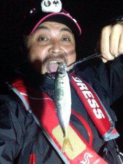 今回の釣行アジングはめちゃめちゃ釣りやすかった