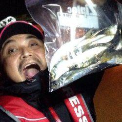 今回の釣行アジングはめちゃめちゃ釣りやすかった