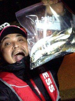 今回の釣行アジングはめちゃめちゃ釣りやすかった