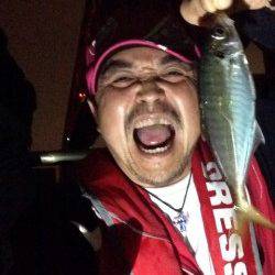 大阪南港アジングでアジ15匹！