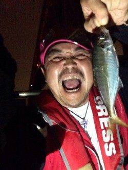 大阪南港アジングでアジ15匹！