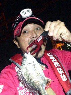 大阪南港、アジングしていてボトムをたたいてるとキビレ