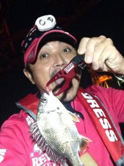 大阪南港、アジングしていてボトムをたたいて…