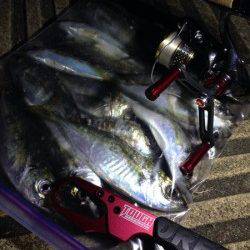 大阪南港　アジングでのアジ狙いは好調☆