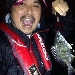 大阪南港、アジングでキビレの釣果