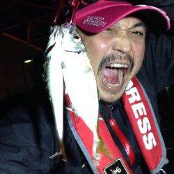 大阪南港でのアジング釣果