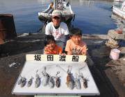 エギングでアオリイカ500ｇまでを10パイ…