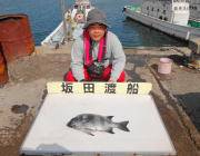 黒島の磯 で底物釣り　〜石鯛43cm〜