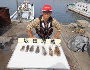 黒島の磯　ヤエンでアオリ新子釣果