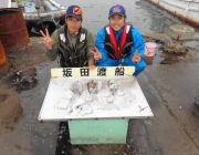 黒島の磯　エギングでアオリイカ～0.5㎏