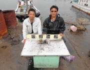 ヤエンとエギングでアオリイカ0.5～0.7…