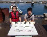 黒島の筏　シオ・マダイ・ヒラメなど魚種多彩