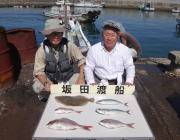 黒島の筏　シオ・マダイ・ヒラメなど魚種多彩…