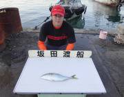 ルアーでハマチ、エギングでアオリイカの釣果