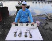 【7日】黒島の磯でのエギング釣果