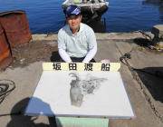 黒島の磯でエギング、アオリイカ700g