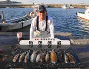 黒島の磯 ヤエンでアオリイカ0.8㎏