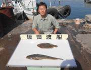 一文字でのノマセ釣りでマゴチ52cm&am…