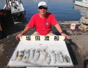 エギングでアオリイカ～0.6㎏13バイ！