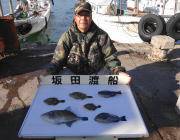 黒島の磯　グレのほかウマヅラハギ&…