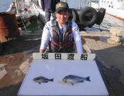 黒島の磯　グレのほかウマヅラハギ&カワハギも