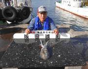 ヤエンでアオリイカ狙い　黒島の磯