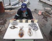 ヤエンのアオリイカ、1kg級の良型が乗りました！