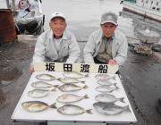 黒島の磯でアイゴ・グレ・イスズミ