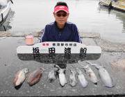 ヤエンのアオリイカ、1kg級の良型が乗りま…