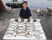 黒島の筏 良型のアイゴのほかサバ、カワハギ…