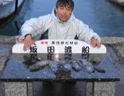 【19日】ヤエンでのアオリイカ釣果