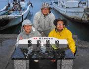 黒島の筏 良型のアイゴのほかサバ、カワハギなど