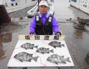 黒島の磯の底物狙いが上向きです！