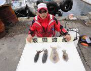 ヤエンで1キロ級の良型アオリ