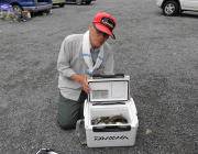 黒島の磯のアイゴ・グレ釣況