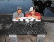 エギングで新子サイズのアオリイカ