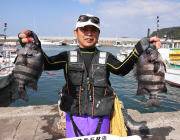 黒島の磯でイシダイの釣果