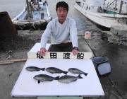 グレ25匹に良型ウマヅラハギとアジの好釣果