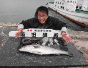 ノマセでスズキ71㎝！ヤエンでアオリイカも…