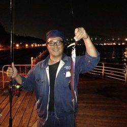 舞洲でのタチウオワインド　ベイトにイワシが入ってきました