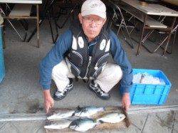 長磯でフカセ釣り、グレ・チヌ・アイゴの釣果