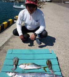 好調青物★釣りガールが飲ませでツバスGET★