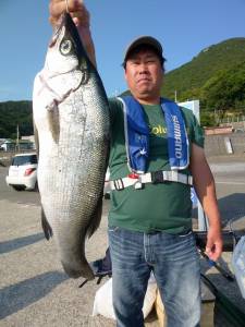 沖一文字内向き、飲ませでヒラスズキも釣れて…