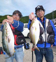 神谷沖一文字でメジロ・シオ　飲ませ釣り釣果